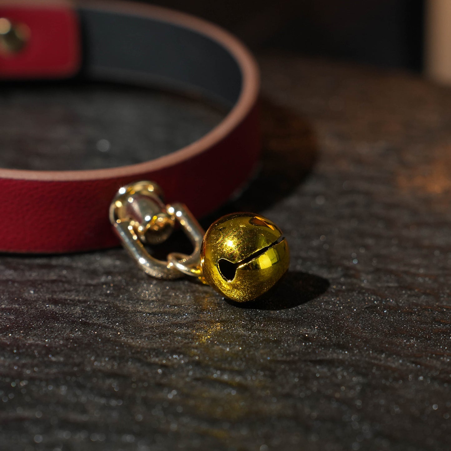 Siren Choker With Gold Bell