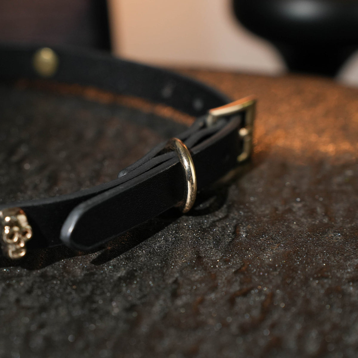 Skull Decorative Leather Choker