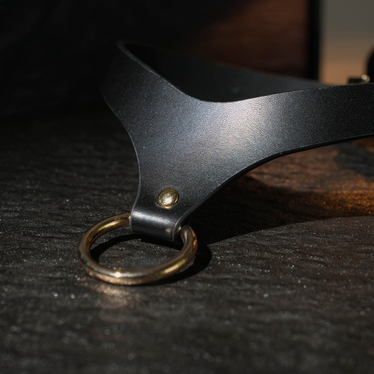 Medea Leather Collar with O-Ring