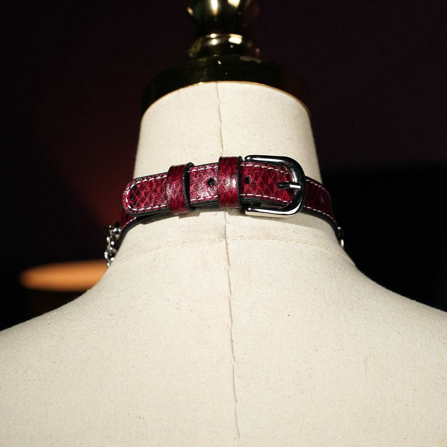 Echo Double Silver Chain Choker More Color Chosse