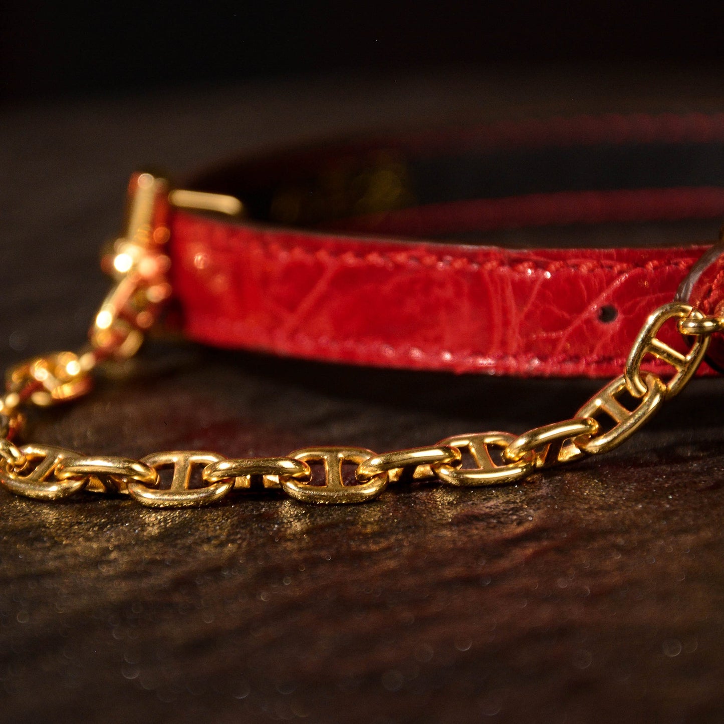 Medusa Red Alligator Choker With Chain