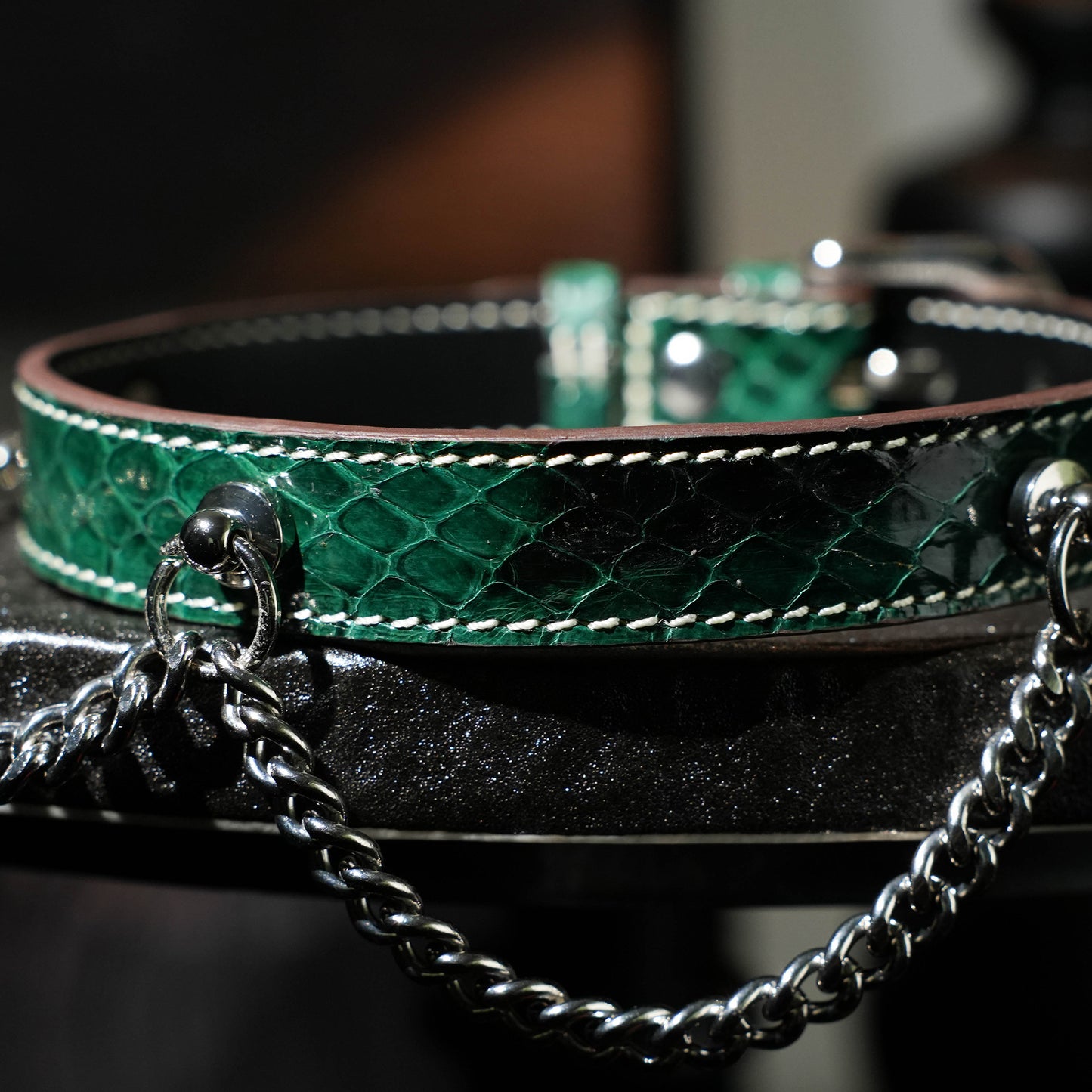 Echo Double Silver Chain Choker More Color Chosse