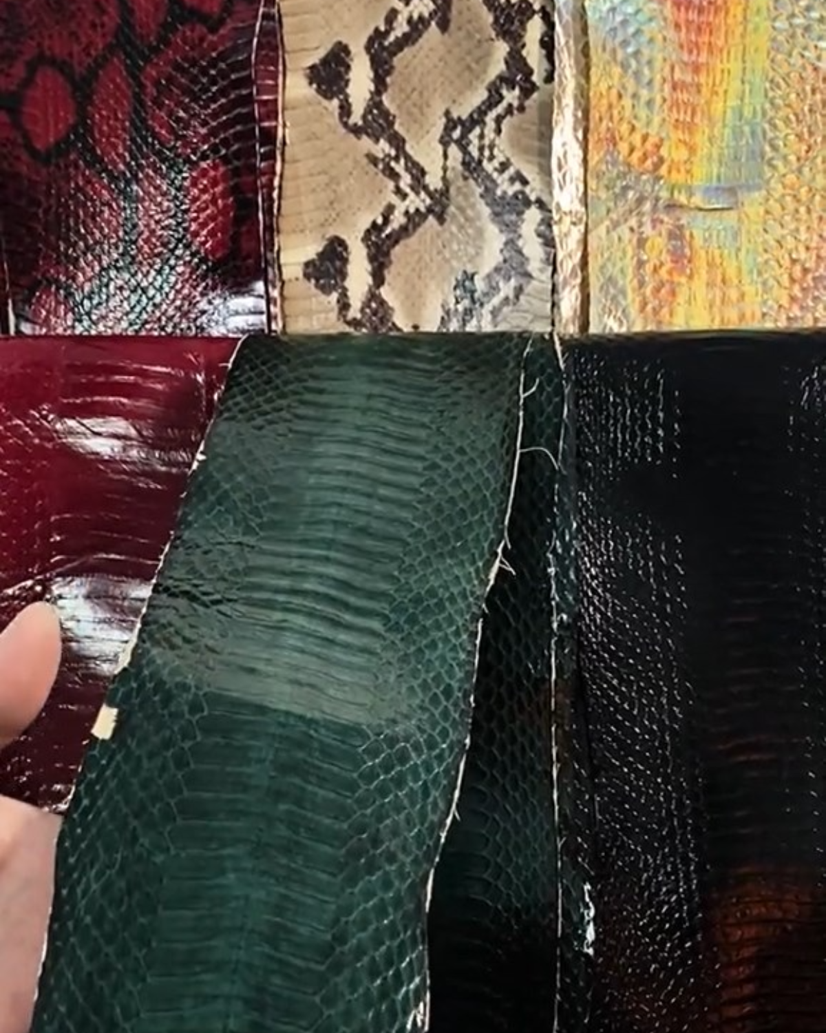 Jester’s Shatter Triangle Choker with Bell_Snake