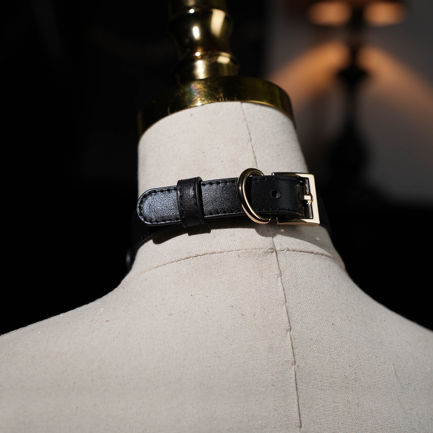 Tartarus Classic Black Collar