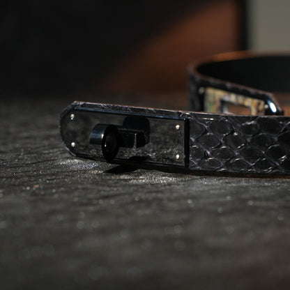 Perseus Black Buckle Collar