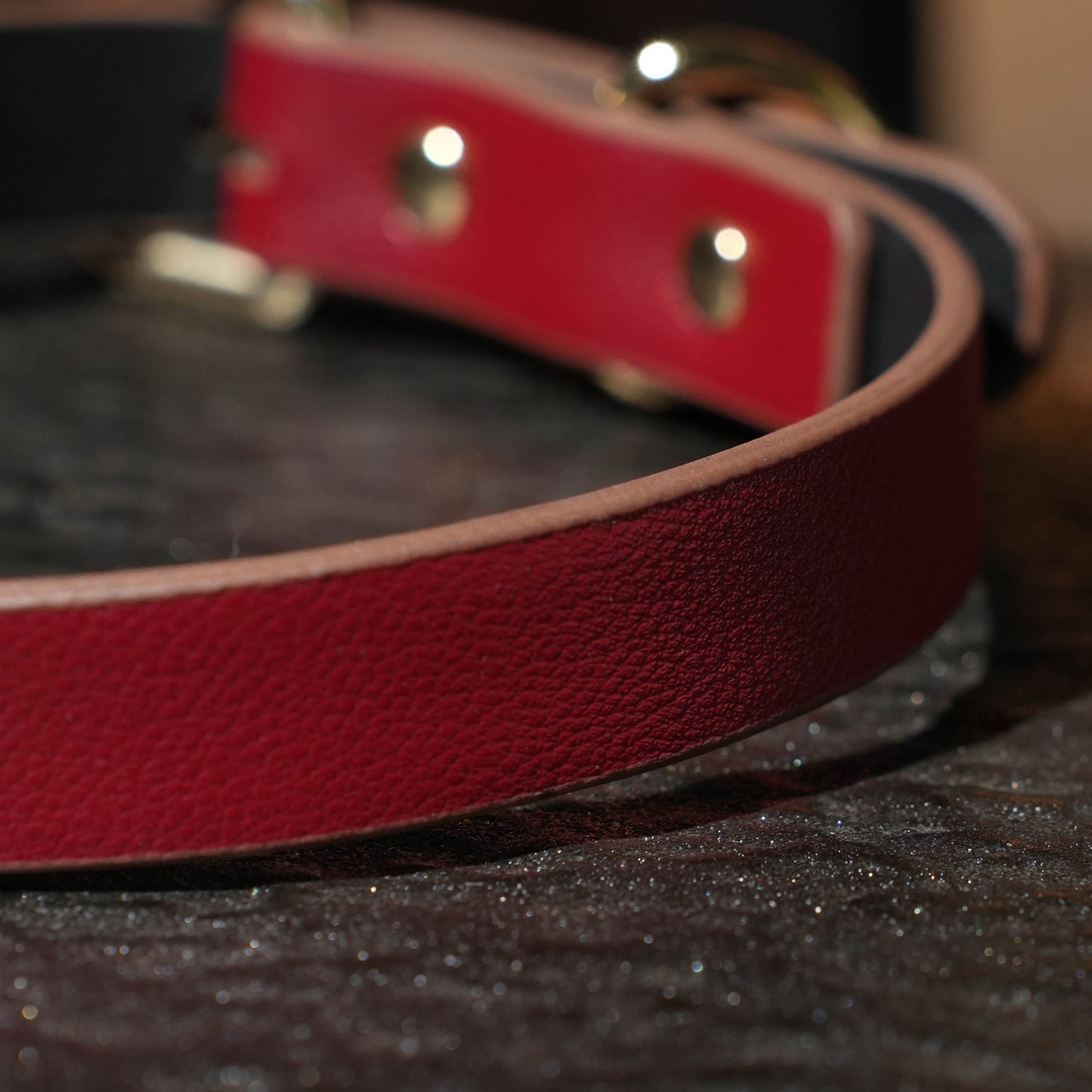 Siren Choker With Gold Bell