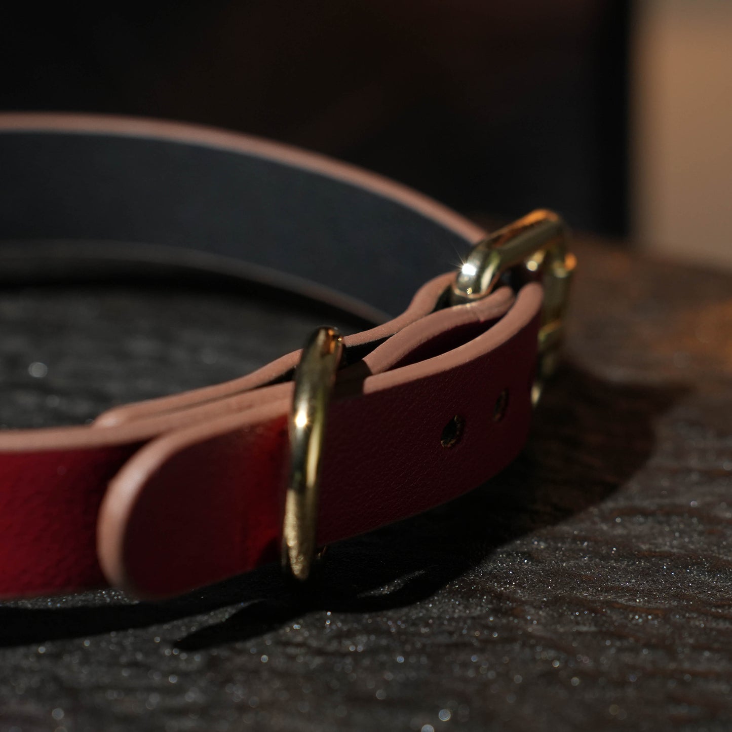Siren Choker With Gold Bell