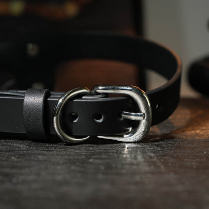 Orion Black Collar with O Ring