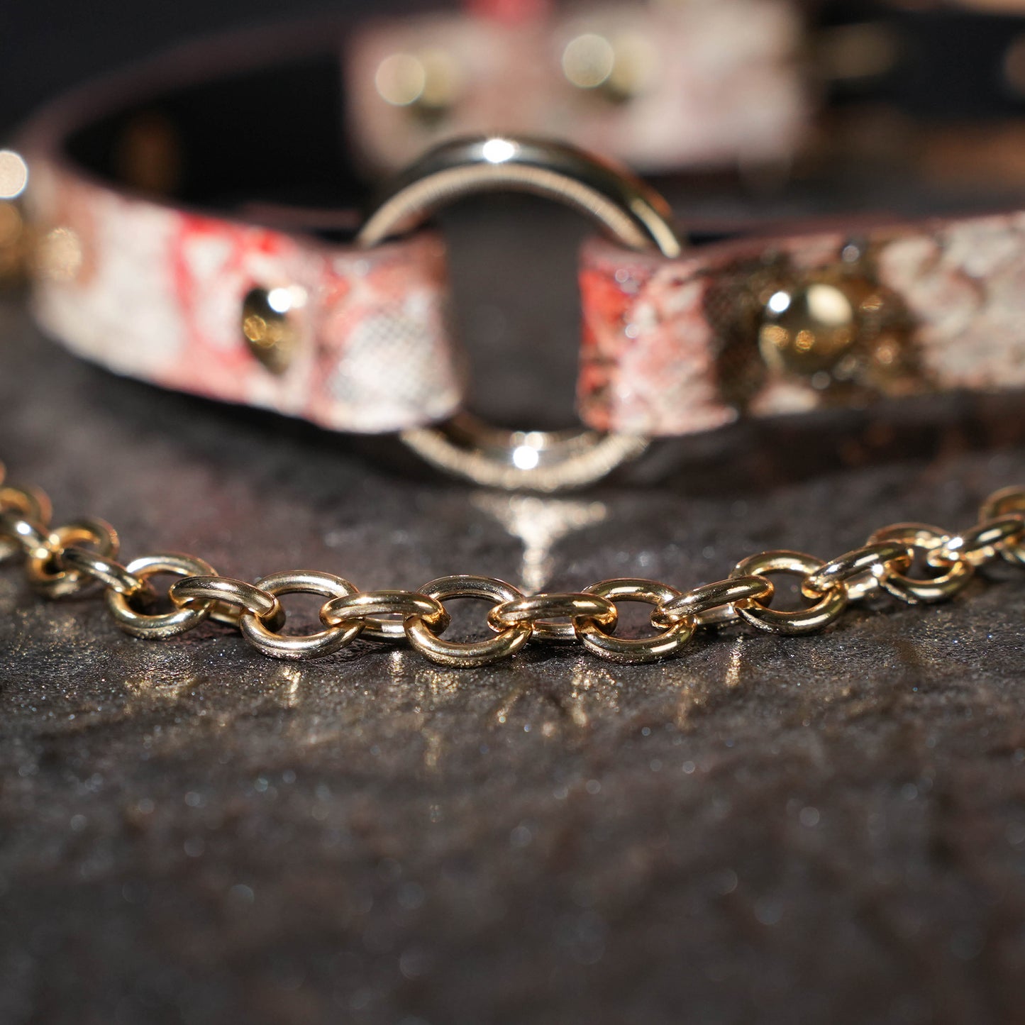 Terra O Ring Choker with Chain