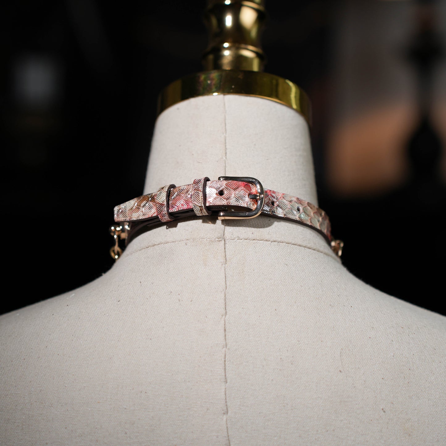 Terra O Ring Choker with Chain