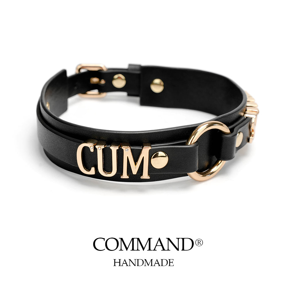 Antiphus Metal Letter Choker with Oring