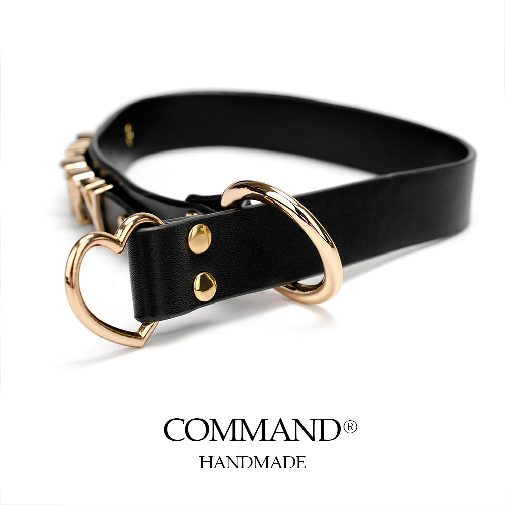 Antiphus Letter Leather Collar with Heart - Shaped Ring