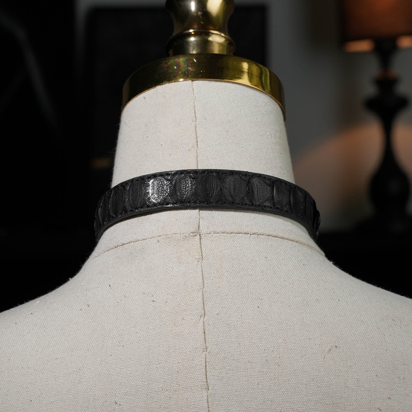 Crius Black Gold Kelly Buckle Collar