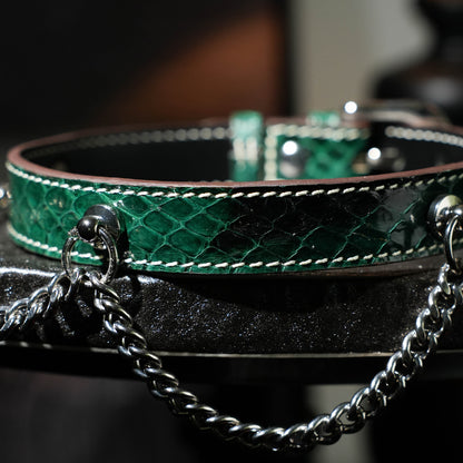 Echo Double Silver Chain Choker More Color Chosse