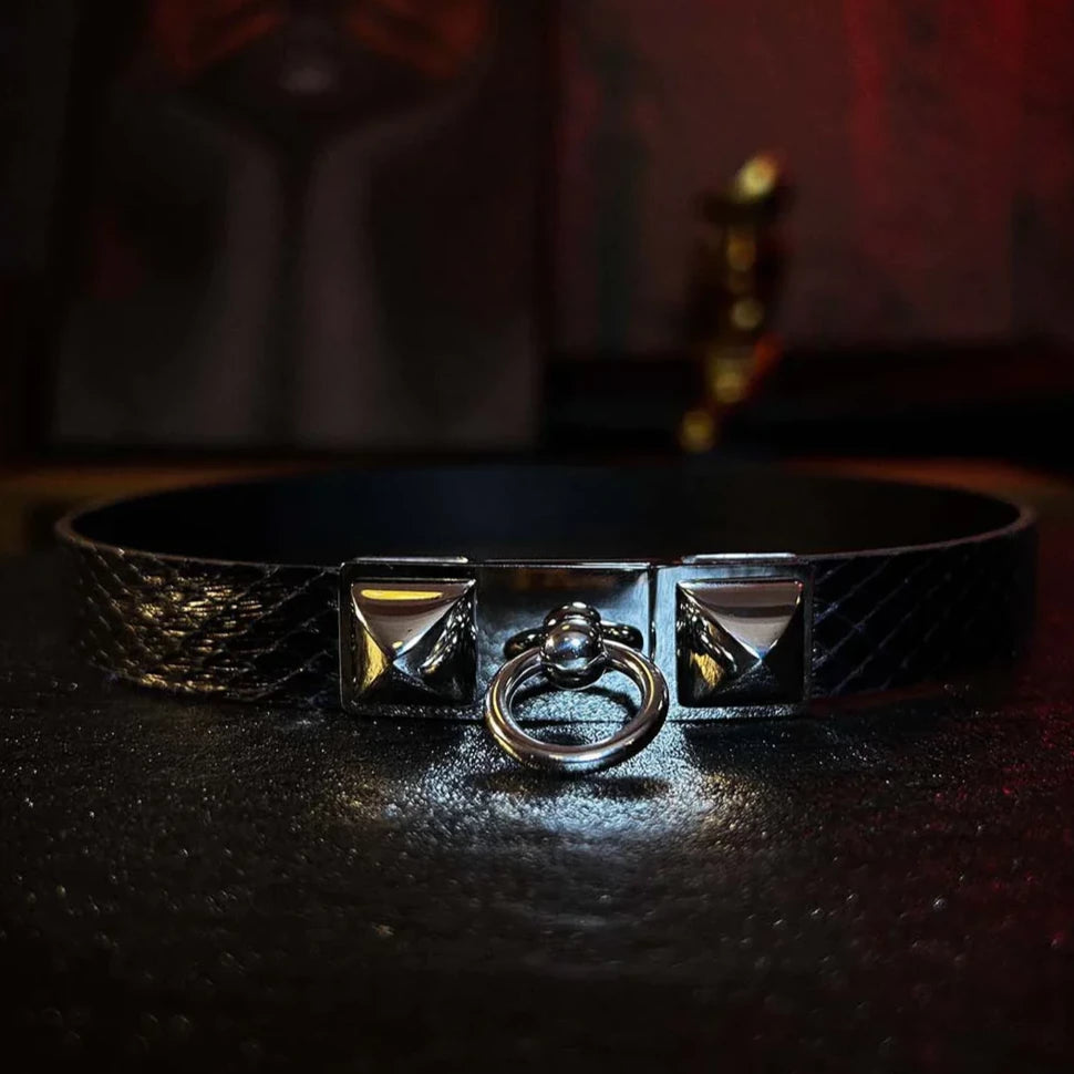 Echidna Black Buckle Collar