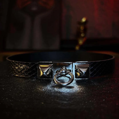 Echidna Black Buckle Collar