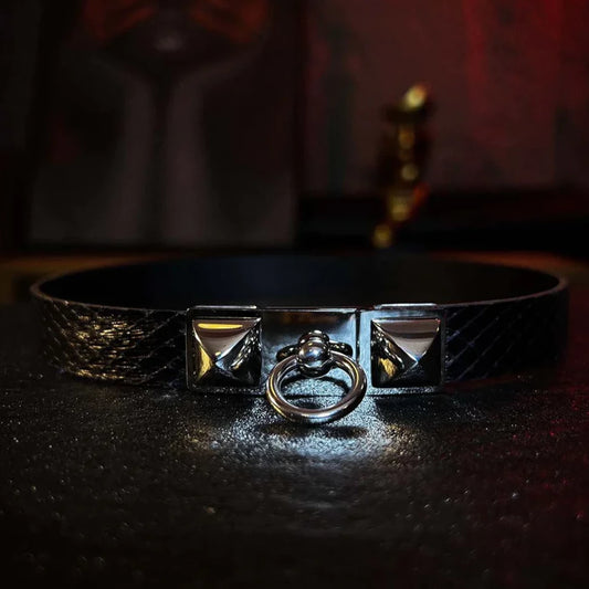 Echidna Black Buckle Collar